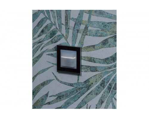 Adapter frame 45A GIST CL