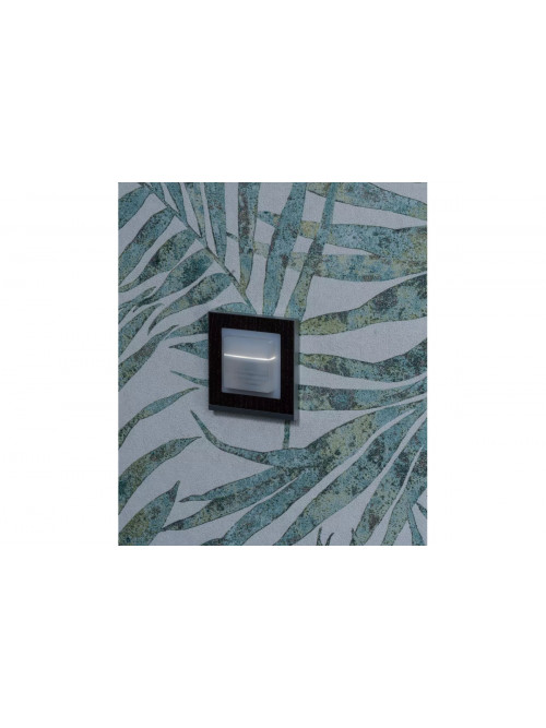 Adapter frame 45A GIST CL