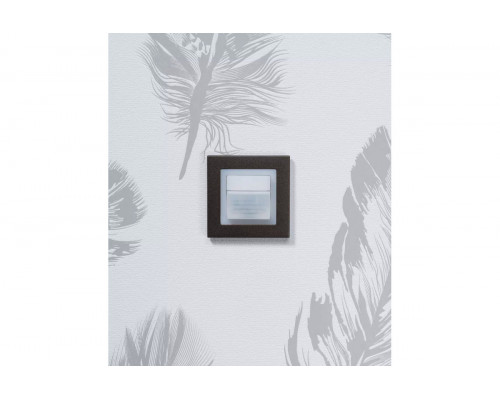 Adapter frame 45A GIST CL