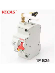 WiFi 1P B25