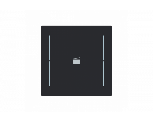 Busch-Jaeger – LFS/A.1.70.11-45M Cover plate with legend with Symbol "scene" black matt - Busch-art linear