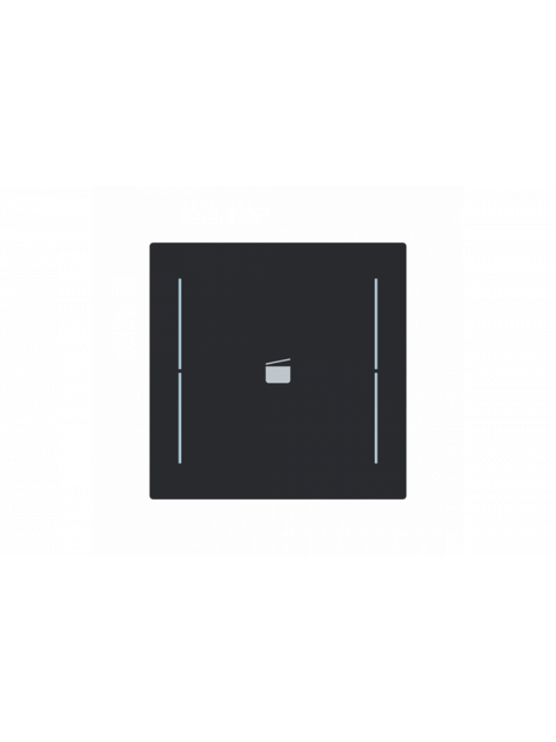 Busch-Jaeger – LFS/A.1.70.11-45M Cover plate with legend with Symbol "scene" black matt - Busch-art linear