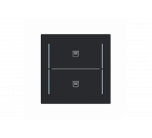 Busch-Jaeger – LFJT/A.2.70.11-45M Cover plate with legend with Symbol "venetian blind" black matt - Busch-art linear