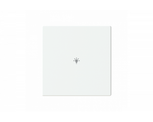 Busch-Jaeger – LFBT/A.1.63.11-884 Cover plate with legend with Symbol "light" studio white matt - 63x63