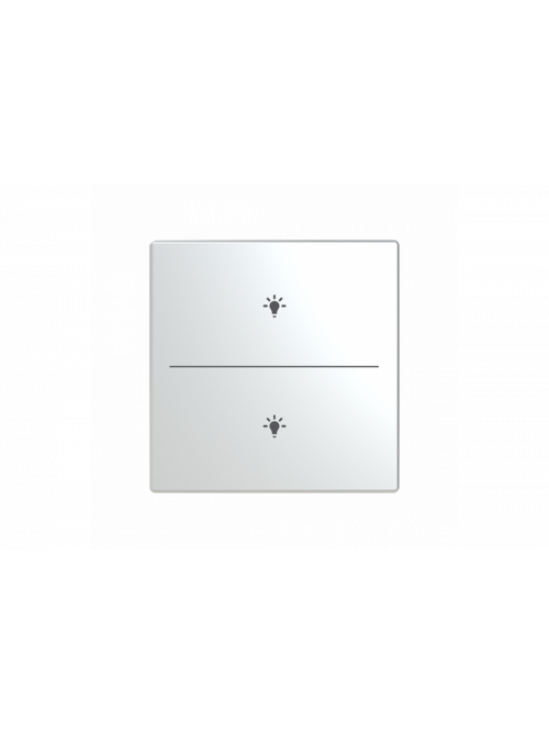 Busch-Jaeger – LFBT/A.2.63.11-866 Cover plate with legend with Symbol "light" stainless steel - Pure Stainless Steel