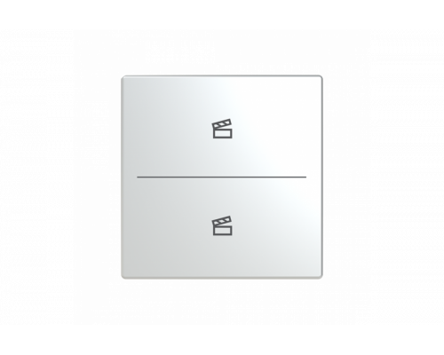 Busch-Jaeger – LFST/A.2.63.11-866 Cover plate with legend with Symbol "scene" stainless steel - Pure Stainless Steel