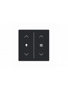 Busch-Jaeger – LFDW/A.2.63.11-885 Cover plate with legend with Symbol "dimming" black matt - 63x63
