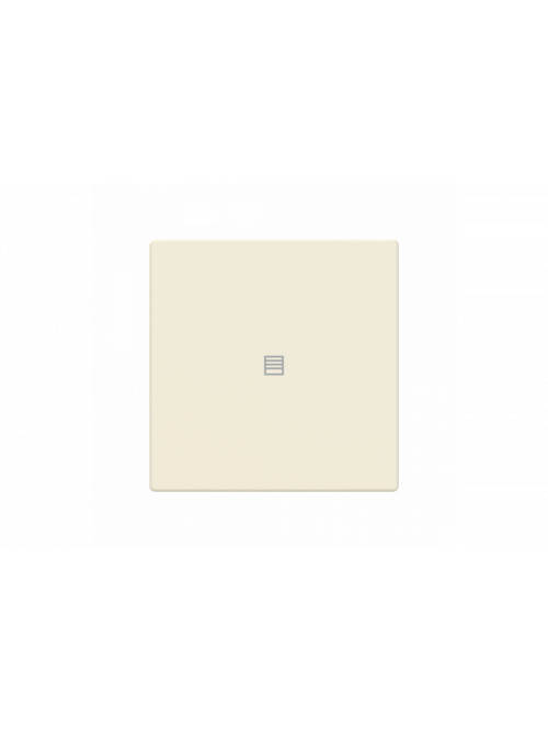 Busch-Jaeger – LFJT/A.1.63.11-82 Cover plate with legend with Symbol "venetian blind" ivory white - 63x63