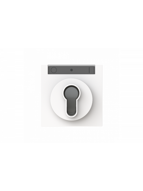 Busch-Jaeger – 1755 SL/PZ-44M Zentralscheibe mit Beschriftungsfeld Symbol "Pfeile" oder "0" und "1" für Jalousie,  Schlüsselschalter studioweiß matt - Busch-art linear®