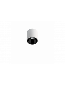 Shot Light S Surface