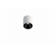 Shot Light S Surface