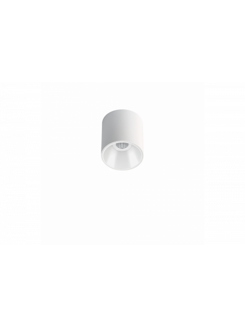 Shot Light S Surface