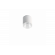 Shot Light S Surface