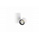 iO Surface