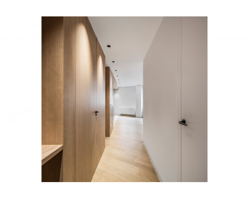 Shot Light M Asymmetric