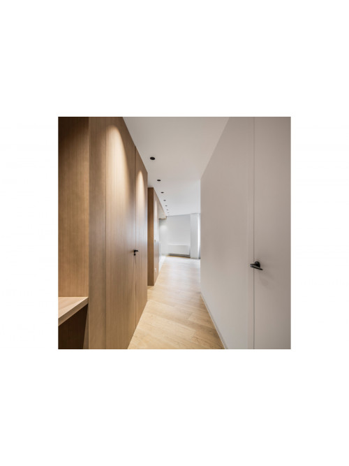 Shot Light M Asymmetric