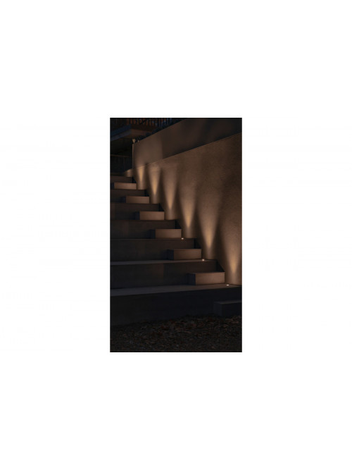 Dark
