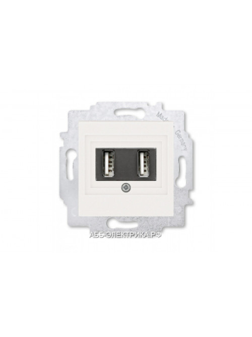 Розетка USB зарядка двойная ABB Levit жемчуг