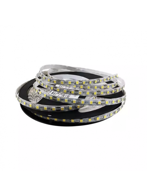 Светодиодная LED лента PROLUM™ 12V; IP20; 2835\120; S-TYPE; Series "S", Желтый