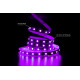 Светодиодная LED лента PROLUM 24V; IP20; 5050\60; Series "SG", RGB