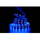 Светодиодная LED лента PROLUM 24V; IP20; 5050\60; Series "SG", RGB