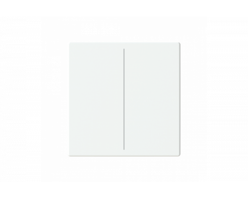 Busch-Jaeger – LFW/A.2.63.11-884 Cover plate studio white matt - 63x63