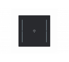 Busch-Jaeger – LFB/A.1.70.11-45M Cover plate with legend with Symbol "light" black matt - Busch-art linear