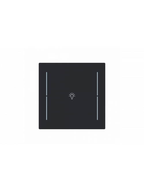 Busch-Jaeger – LFB/A.1.70.11-45M Cover plate with legend with Symbol "light" black matt - Busch-art linear