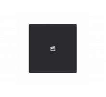 Busch-Jaeger – LFST/A.1.63.11-885 Cover plate with legend with Symbol "scene" black matt - 63x63