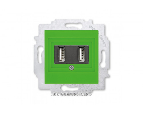 Розетка USB зарядка двойная ABB Levit зелёный