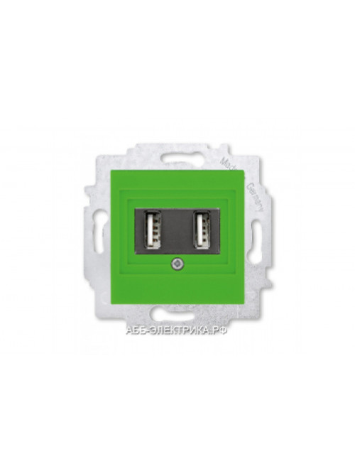 Розетка USB зарядка двойная ABB Levit зелёный