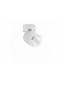 Flip Surface