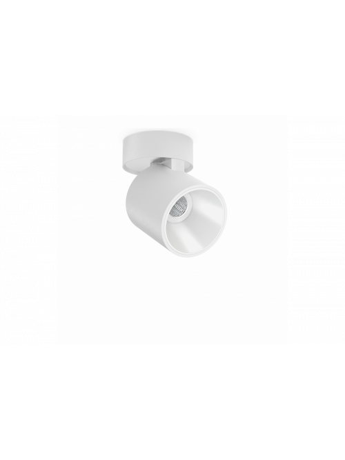 Flip Surface