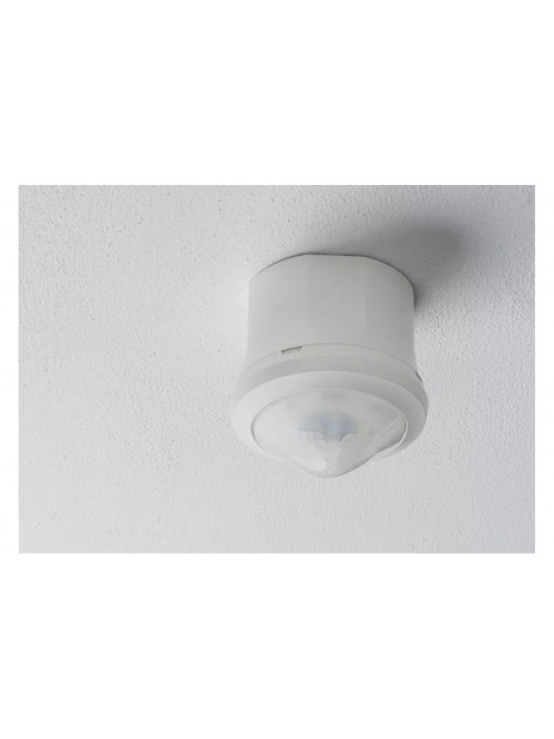 theRonda P360-100 WH GST