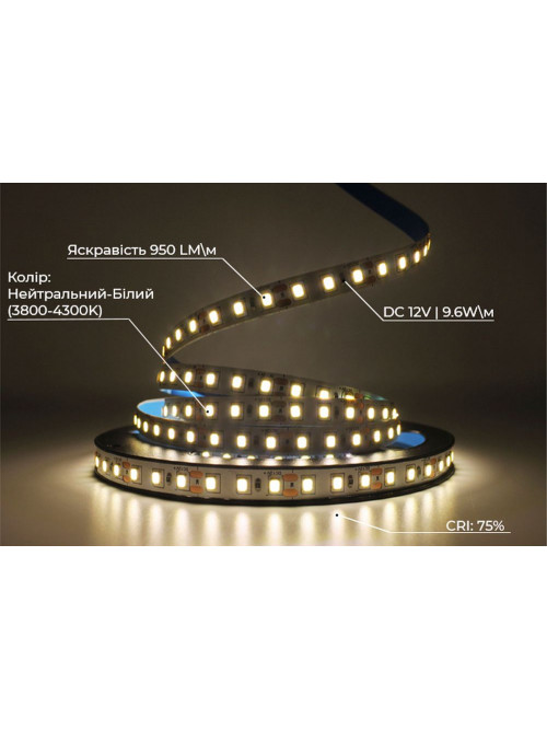 Светодиодная LED лента PROLUM™ 12V; 2835\120; IP20; Series "S", Нейтральный-Белый (3800-4300K)