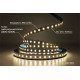 Светодиодная LED лента PROLUM™ 12V; 2835\120; IP20; Series "S", Нейтральный-Белый (3800-4300K)