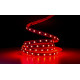 Светодиодная LED лента PROLUM™ 12V; 5050\60; IP20; Series "SG", RGB