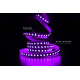 Светодиодная LED лента PROLUM™ 24V; IP20; 5050\120; Series "SG", RGB