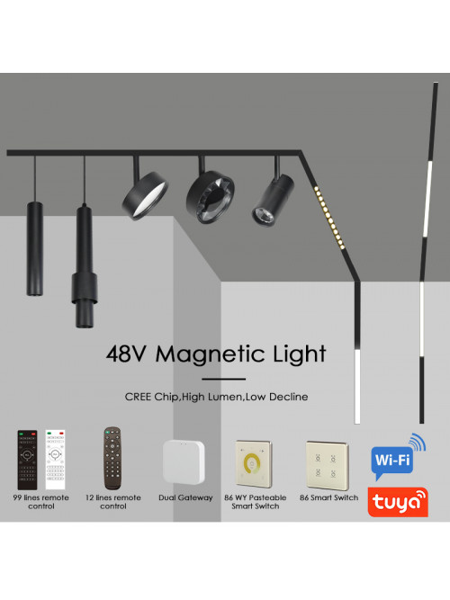 Track sina magnetica incastrata 1M 48VDC 26mm neagra
