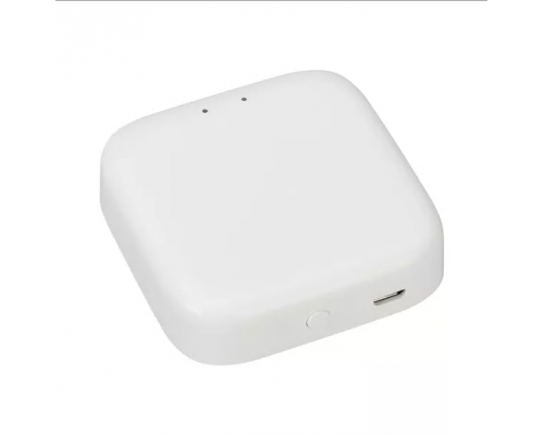 Gateway de control WIFI PROLUM™; TUYA; HomeLink