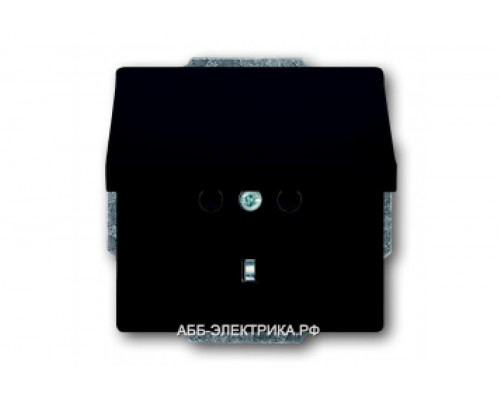 Розетка 1-ая электрическая ,с заземлением с крышкой , цвет Антрацит, ABB Solo/Future