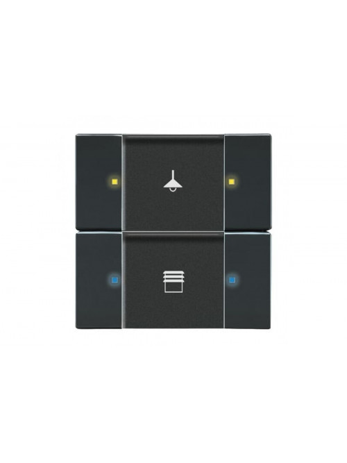 Busch-Jaeger – 6126/02-81 6126/02-81 Control element 2/4gang