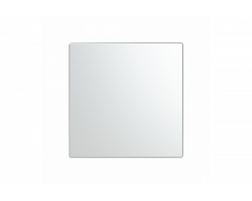 Busch-Jaeger – LFW/A.1.63.11-866 Cover plate stainless steel - Pure Stainless Steel