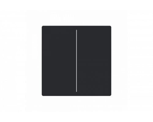 Busch-Jaeger – LFW/A.2.63.11-885 Cover plate black matt - 63x63