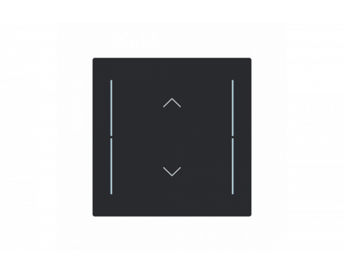 Busch-Jaeger – LFAW/A.1.70.11-45M Cover plate with legend with Symbol "arrows" black matt - Busch-art linear