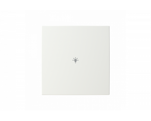 Busch-Jaeger – LFBT/A.1.55.11-914 Cover plate with legend with Symbol "light" alpine white - Busch-balance SI