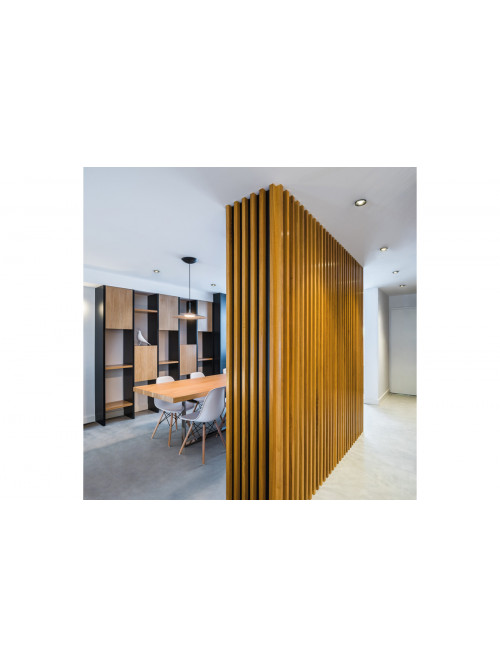 Puck S Recessed