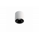 Shot Light M Surface