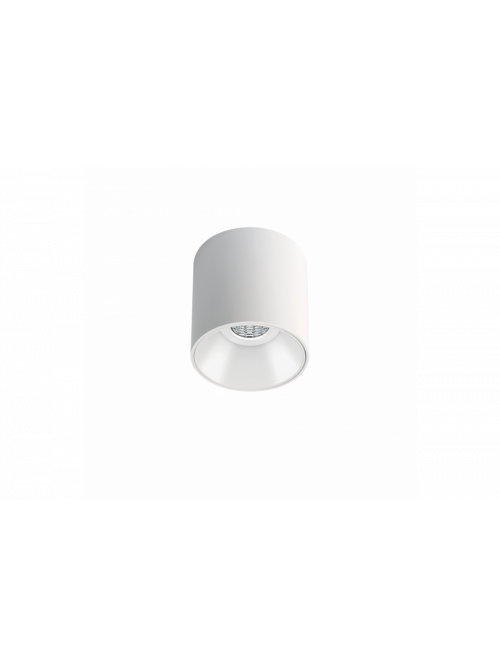 Shot Light M Surface