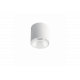 Shot Light M Surface